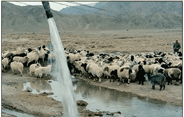 牧场供水