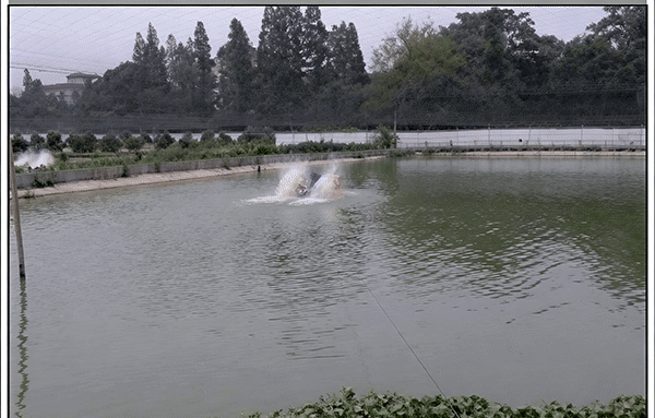 池塘充氧